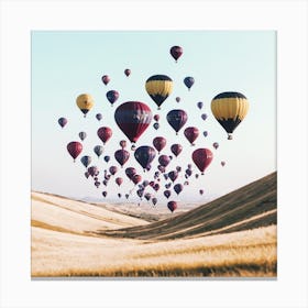 Hot Air Balloons In The Sky 1 Canvas Print