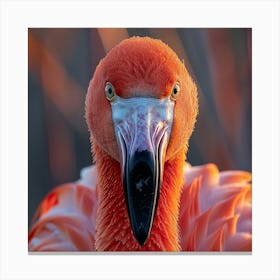 Flamingos 14 Canvas Print