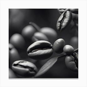 Coffee Beans In Black And White 1 Canvas Print