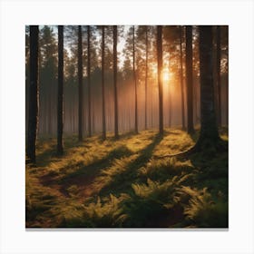 The sunlight in the forest Canvas Print