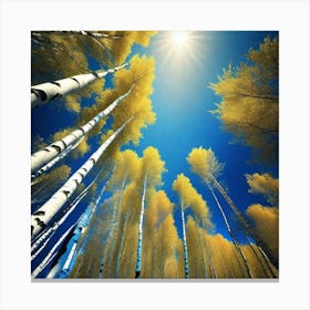 Birch Trees 42 Canvas Print