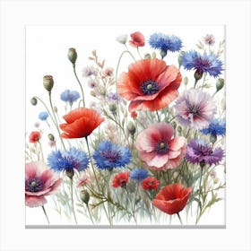 Poppies and Cornflowers Canvas Print