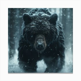 Black Bear In The Snow 1 Canvas Print