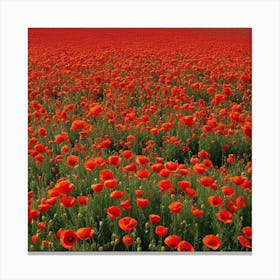 Poppy Field 1 Canvas Print