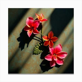 Hibiscus 7 Canvas Print