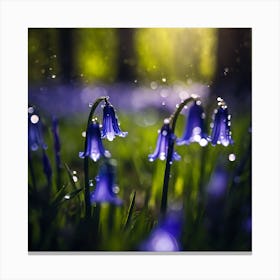 Light through Translucent Bluebell Petals Canvas Print