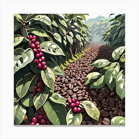 Coffee Plantation 1 Canvas Print
