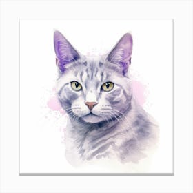 Thai Lilac Cat Portrait Canvas Print