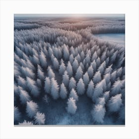 Aerial Photography Of A Winter Forest 1 Canvas Print