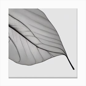 Leaf black and white Canvas Print