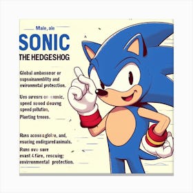 Sonic The Hedgehog 28 Canvas Print