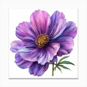 Purple Cosmos Flower Canvas Print