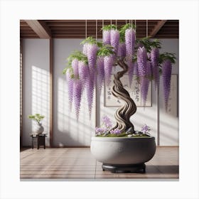 Bonsai Wisteria 1 Canvas Print