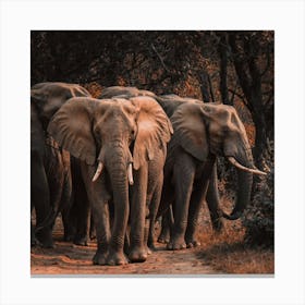 Herd Of Elephants Canvas Print