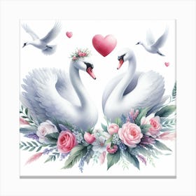 Pair of swans 2 Canvas Print