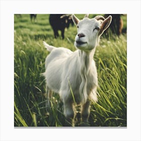 Goat In The Grass 4 Canvas Print