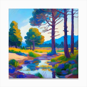 Saguaro Creek Canvas Print