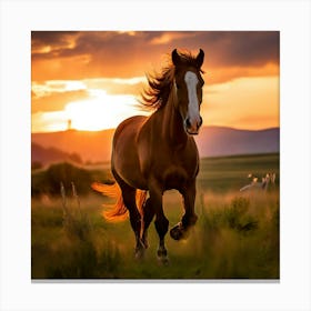Grass Wild Horse Pasture Sun Romanian Horse Country Calf Rural Farm White Cloud Nature (3) Canvas Print