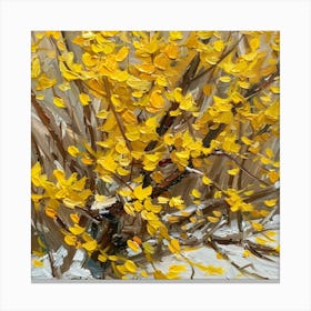 Yellow Birch Canvas Print