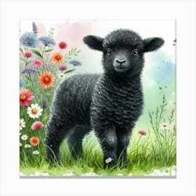 Black Sheep Canvas Print