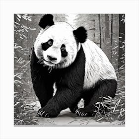 Panda Bear In The Forest Canvas Print