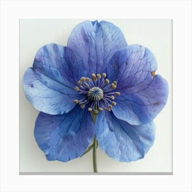 Blue Hellebore 4 Canvas Print