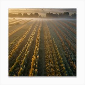 Sunrise Over A Wheat Field Canvas Print