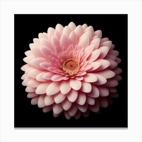 A beautiful, delicate, and vibrant pink gerbera flower in full bloom against a black background, with petals that are soft and velvety to the touch, and a center that is a deep, rich pink, with a light yellow stamen, and a green calyx that is covered in tiny, sharp thorns. Canvas Print