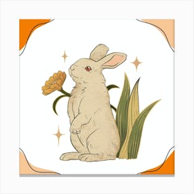 Rabbit With Flower Canvas Print