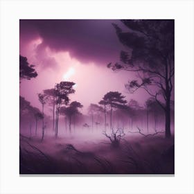 Purple Forest In The Mist Canvas Print
