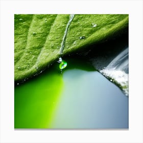 Water Drop On Green Leaf Canvas Print