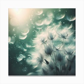 Dandelion 12 Canvas Print