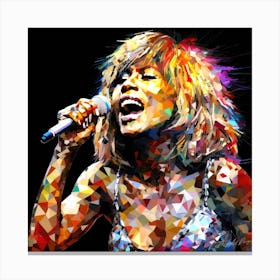 Who Is Tina Turner - Tina Turner Tribute Canvas Print