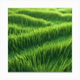 Green Grass Field Canvas Print