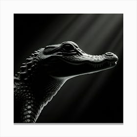 Alligator Head Canvas Print