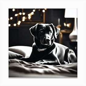 Black Labrador Canvas Print