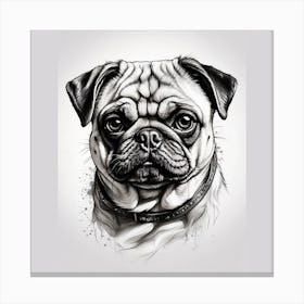 Pug Dog Canvas Print