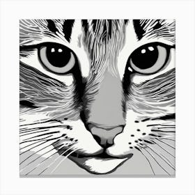 Cat'S Face 1 Canvas Print