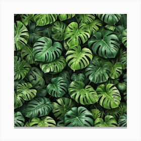 Monstera Leaves 4 Canvas Print