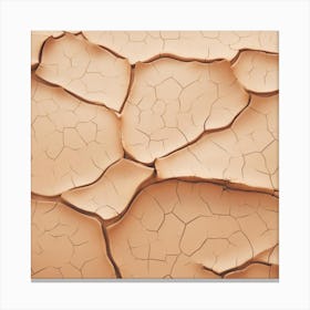 Cracked Sand Canvas Print