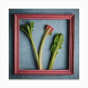 Rhubarb 58 Canvas Print