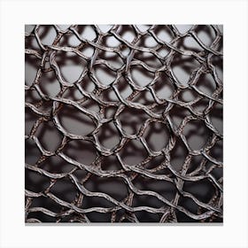 Photography Of The Texture Of A Metallic Mesh Canvas Print