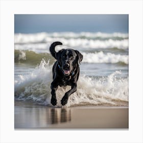 Black Labrador Retriever Running On The Beach Canvas Print