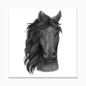 Black Horse Head.uk Canvas Print