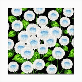 White Daisies On Black Background Canvas Print