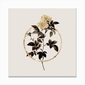 Gold Ring White Anjou Roses Glitter Botanical Illustration Canvas Print