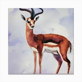 Antelope Canvas Print