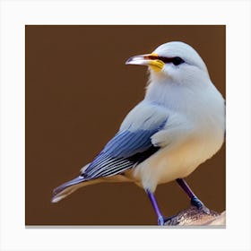 White-Winged Bird Canvas Print