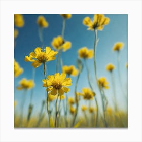 Yellow Flowers In A Field 33 Canvas Print