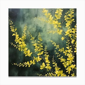Yellow Hibiscus 1 Canvas Print